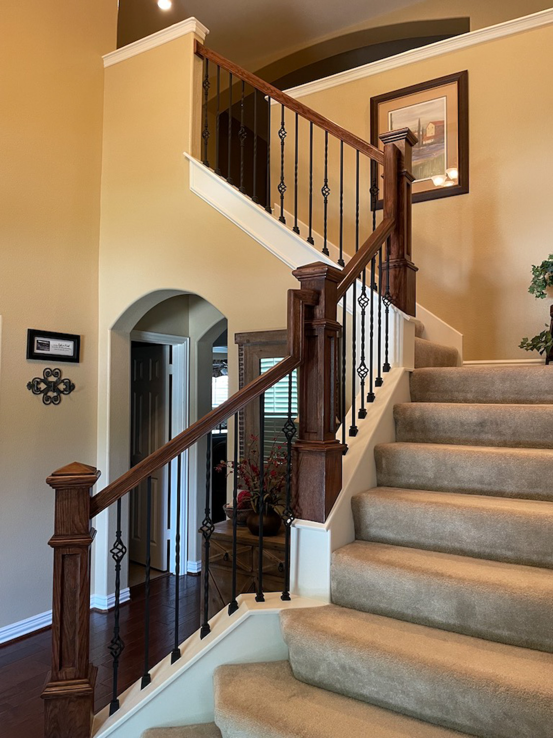 Spring Full Home Renovations